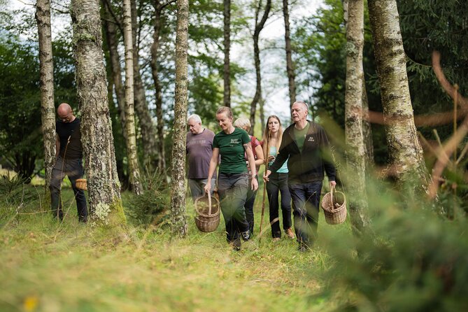 It Smells Like Mushrooms - Into the Bovec Forest With Bojan and Anja