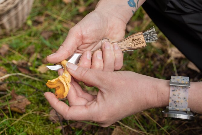 It Smells Like Mushrooms - Should You Book It?