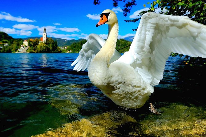 Lake Bled Half Day Excursion from Ljubljana - What you can realistically do in three hours