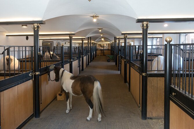 Lipica Stud Farm and Skocjan Caves from Koper - How much guiding will you receive?