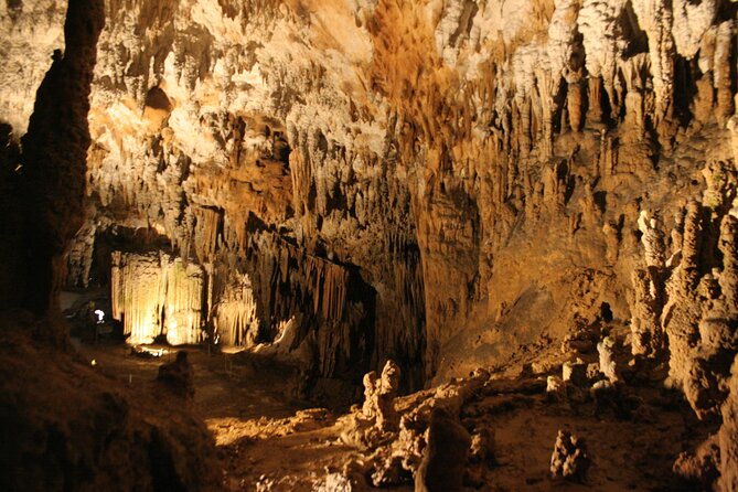 Lipica Stud Farm and Skocjan Caves from Koper - Who should book this outing?