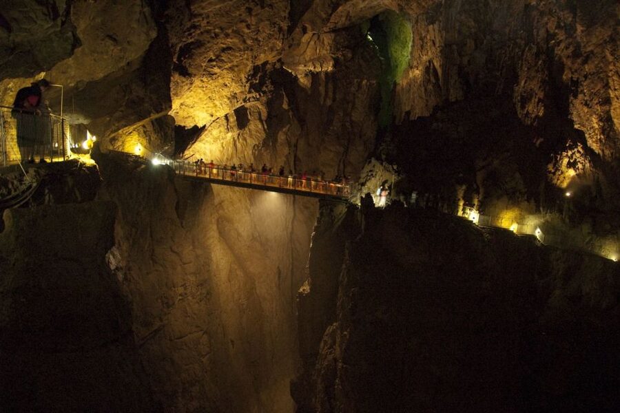 Lipica Stud Farm and Škocjan Caves from Trieste - The Lipikum Museum adds meaning to the horses