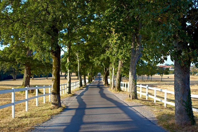 Lipica Stud Farm- Private Experience from Koper - What the private format really adds