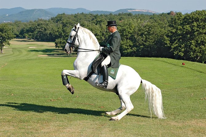 Lipica Stud Farm- Private Experience from Koper - Is $707.45 good value?