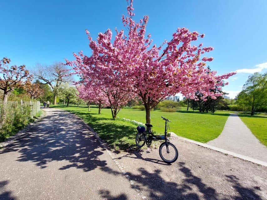 Ljubljana by E-Bike: Guided City Highlights Tour - Seeing the districts beyond the postcard center