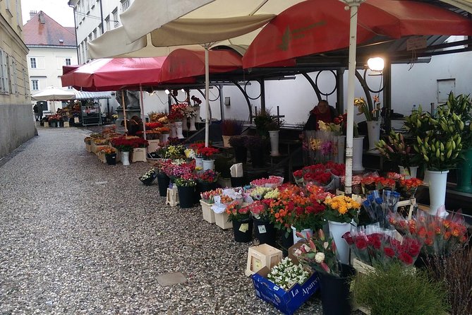 Ljubljana City Tour Including Ljubljana Castle - Dragon Bridge and the market bring in local legends