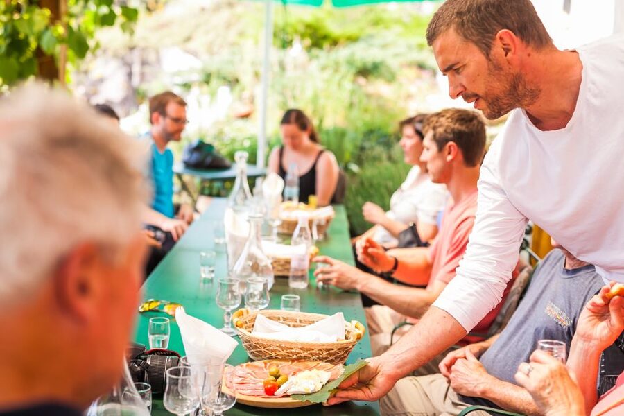 Ljubljana: Karst & Coast Full-Day Trip - Timing, clothing, and the small-group setup