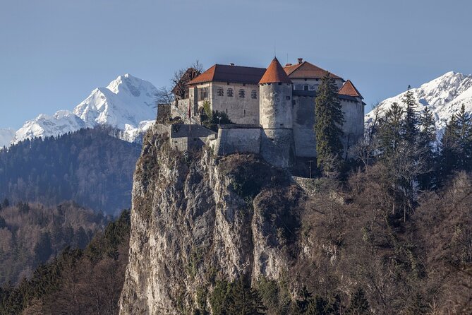 Ljubljana: Lake Bled Experience small group half-day tour - Timing, group size, and practical comfort