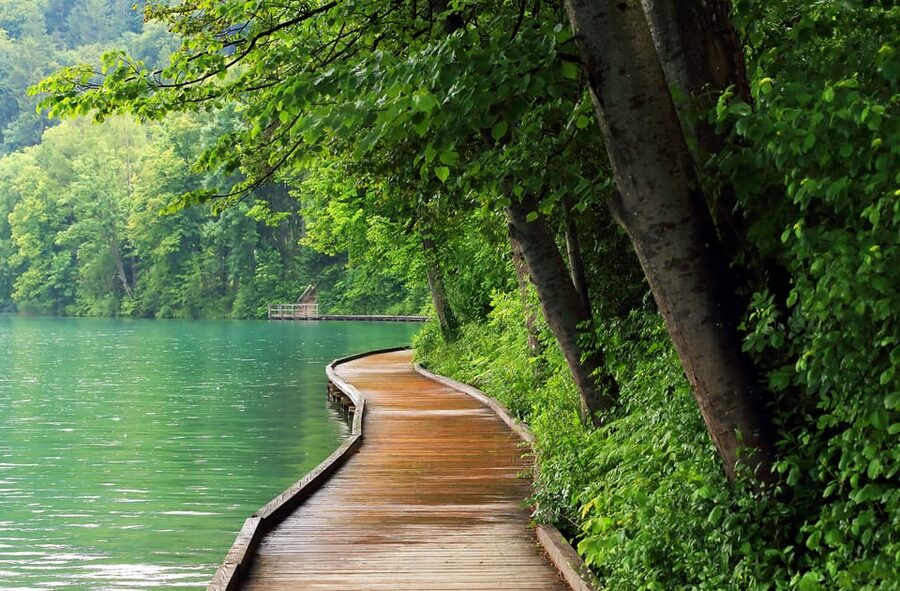 Ljubljana: Lake Bled, Postojna Cave, and Predjama Day Tour - Who will enjoy this tour most