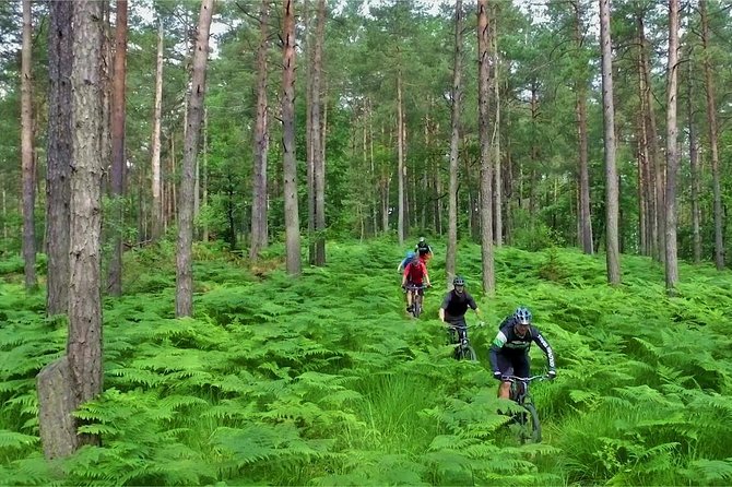 Ljubljana MTB Capital tour (e-bike enduro/all mountain) - Practical details that affect your day