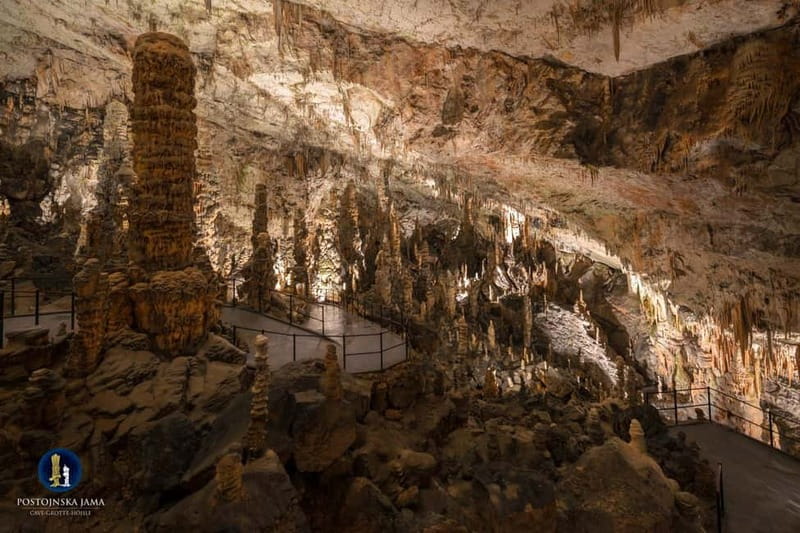 Ljubljana: Postojna Cave and Predjama Castle Tour - The cave’s unusual underground life