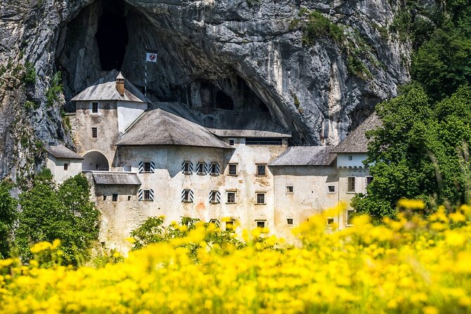 Ljubljana: Postojna cave & Predjama castle small group tour - Why this half-day tour works from Ljubljana
