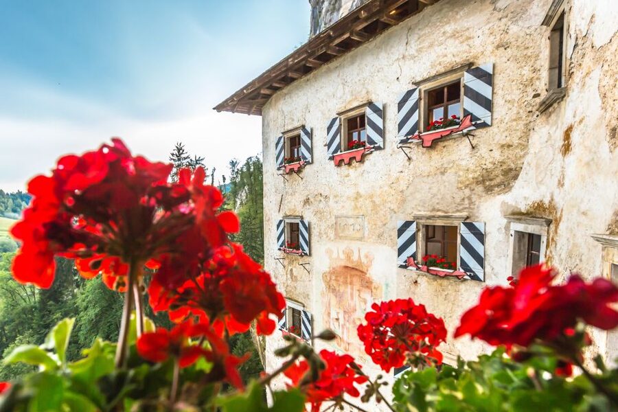 Ljubljana: Postojna Cave & Predjama Castle Tickets and Tour - Is the $115 price fair?