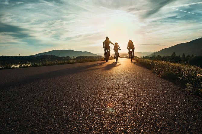 Ljubljana's Marshes Cycling Tour - A gentle ride for beginners