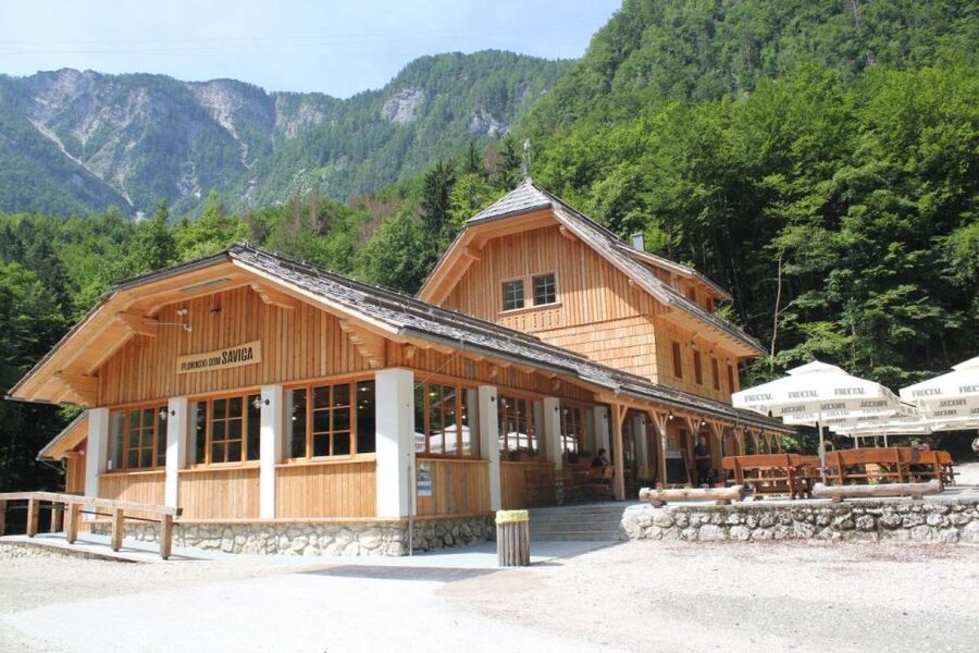 Ljubljana: Savica Waterfall, Lake Bohinj, and Lake Bled Tour - The forest path to Savica Waterfall