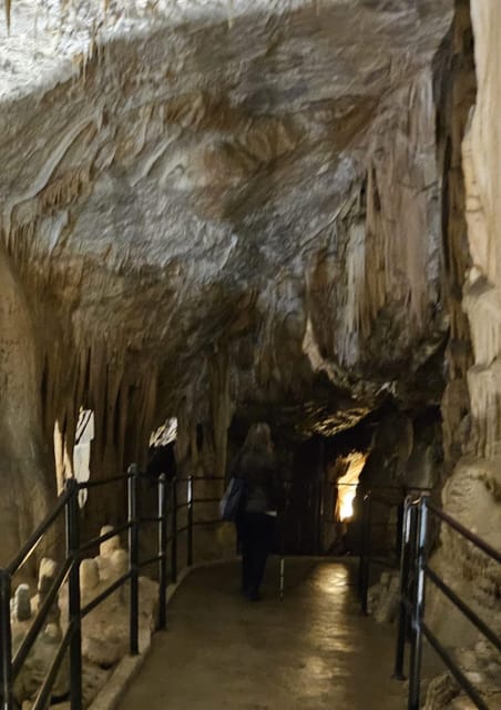 Ljubljana to Postojna Cave,Predjama Castle and Postojna park - Who should book this experience