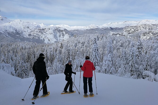 Magical Snowshoeing in Bohinj valley - Why the weather policy matters