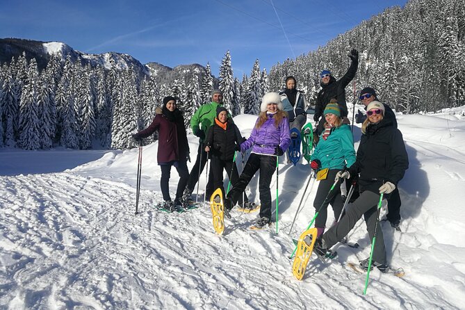 Magical Snowshoeing in Bohinj valley - Cancellation and booking details that matter