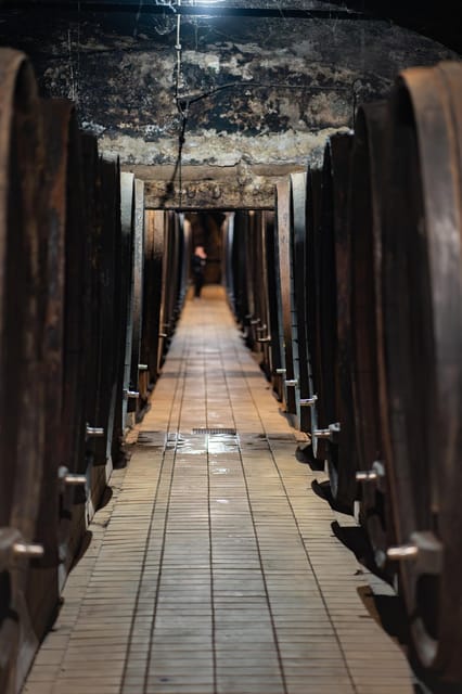 Maribor: Vinag Wine Cellar Tour with Wine tasting and snacks - Why Vinag is more than a standard wine tasting