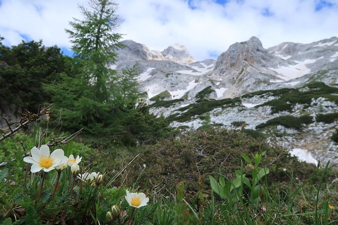 Mighty Mount Triglav Climb-summer Special-join Group - How hard is the climb?