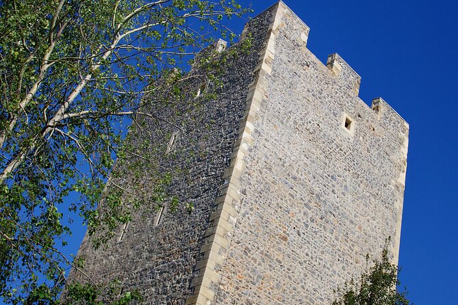 Old Castle of Celje - Hours, group size, and practical planning