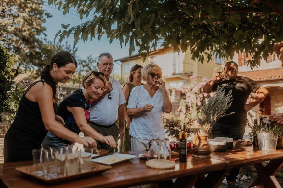 Olive Oil Tasting a Journey of Flavors and Aromas - Key points to know before you go