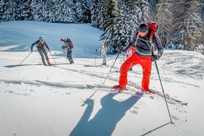 One Day Ski Touring Workshop - Who will get the most from this workshop