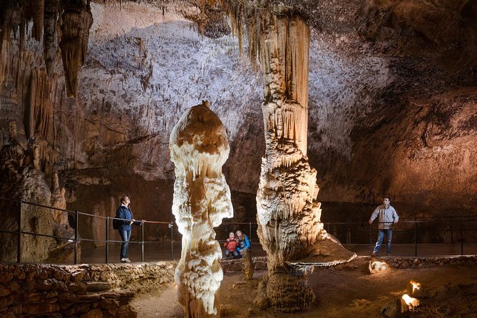 One guide - two ports - tours from Koper and Trieste - Cancellation and booking details