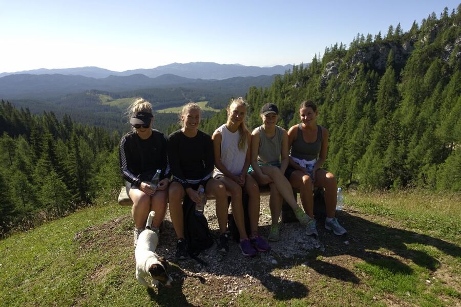 Panoramic Hike in Julian Alps - The downhill return and van ride to Bled