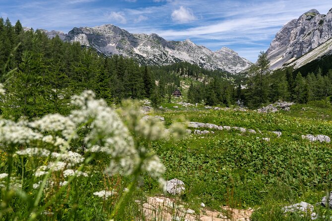 Panoramic Hike in Julian Alps - The 30-minute ride from Bled to Pokljuka