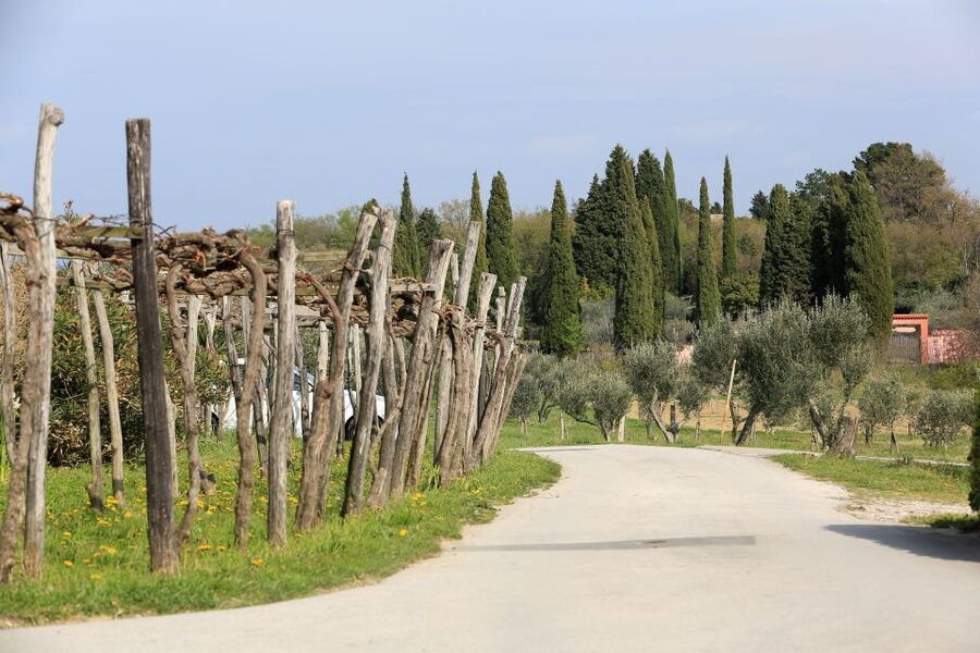 Panoramic Piran and Salt Pans: E-Bike Boutique Tour - Seča Park and its open-air sculptures