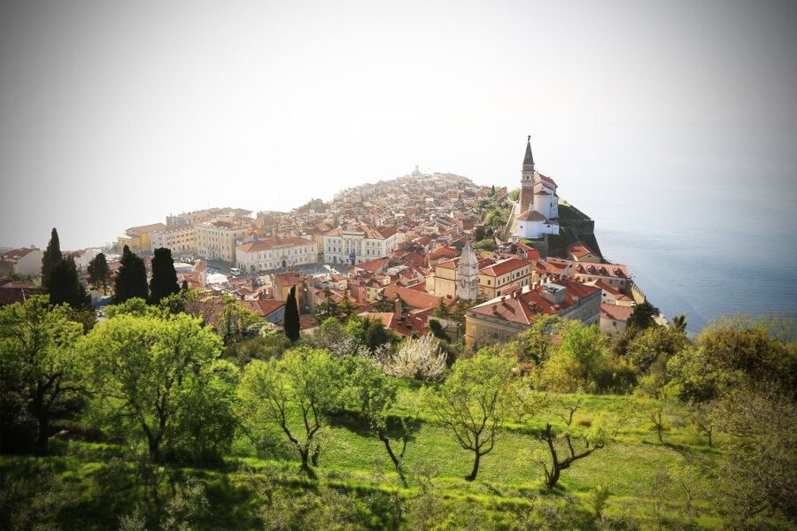 Panoramic Piran and Salt Pans: E-Bike Boutique Tour - The Sečovlje salt pans and coastal birdlife