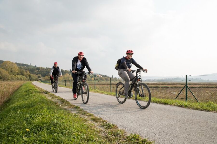 Panoramic Piran and Salt Pans: E-Bike Boutique Tour - Wine, food, and the final viewpoint