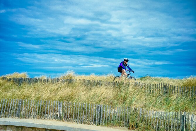 Parenzana Trail Biking Experience from Koper - What the food and wine tasting really means