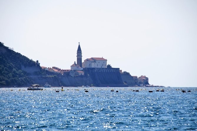 Piran and Portoroz Pearls of the Slovenian Adriatic Coast Half Day Trip from Ljubljana - Timing, pickup, and group comfort