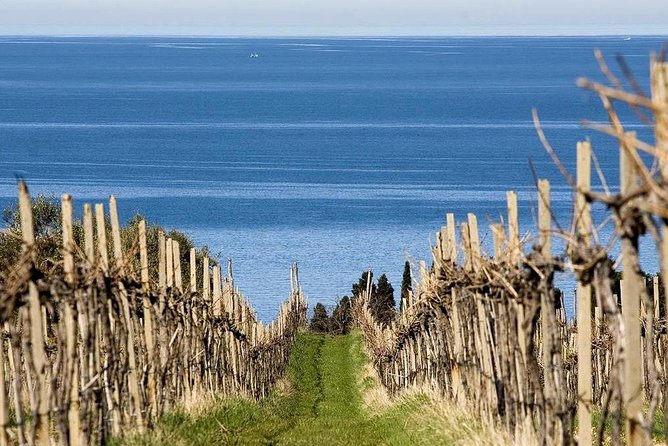 Piran and Scenic Slovenian Coast-Private Experience from Koper - Portorož shows Slovenia’s resort side