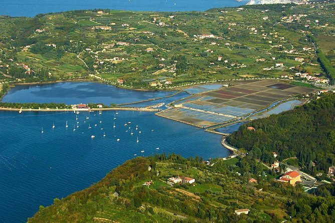Piran and Scenic Slovenian Coast-Private Experience from Koper - Izola adds a working harbor feel