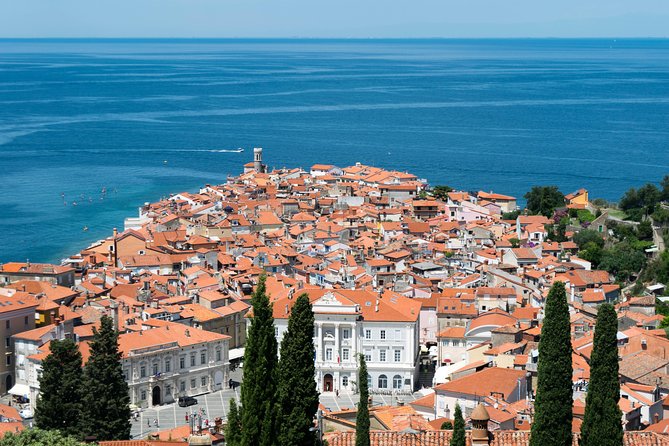 Piran Old Town Walking Tour - Tartini Square, Piran’s natural starting point