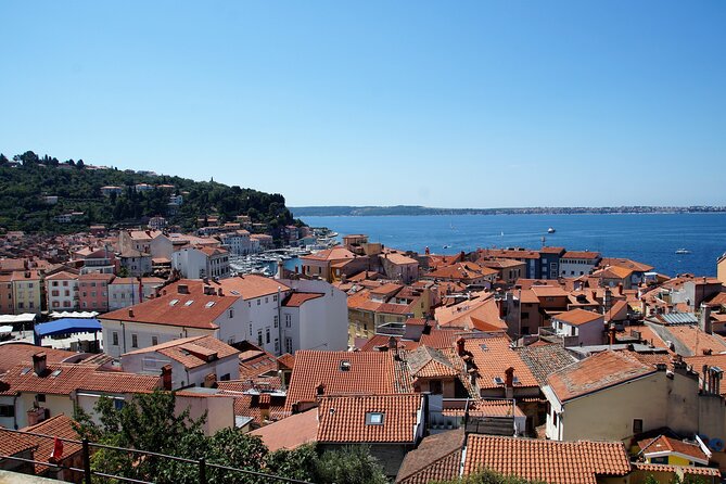 Piran & Panoramic Slovenian Coast - Small Group Tour from Koper - Portorož and the Sečovlje salt pans