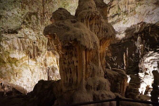 Postojna cave and Predjama castle Tour from Ljubljana - Who should book this experience