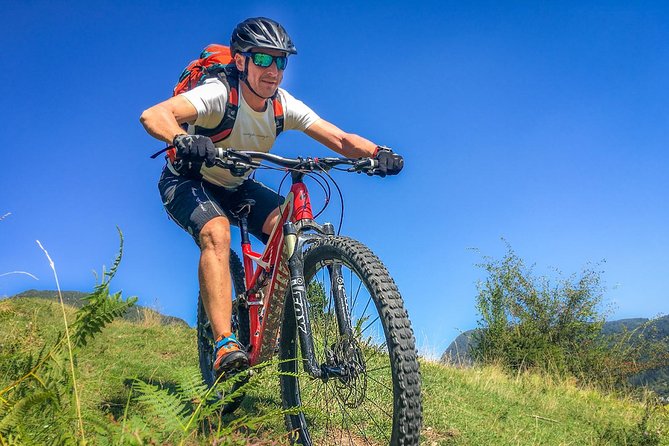 Private Biking Tour in Bohinj Valley - What the bicycles are like
