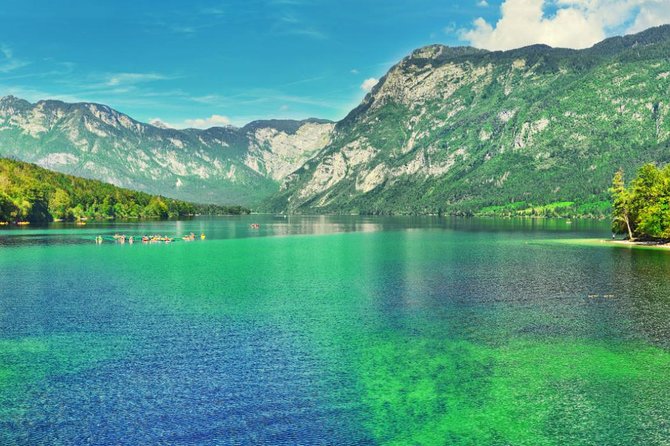 Private Bohinj & Vogel Tour from Bled - Is $400.88 per person a fair price?