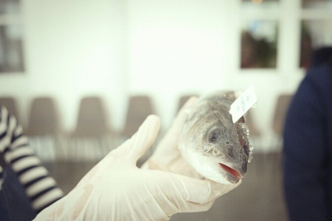 Private Mediterranean Fish Cooking Workshop with Irena - Why this fish class feels different