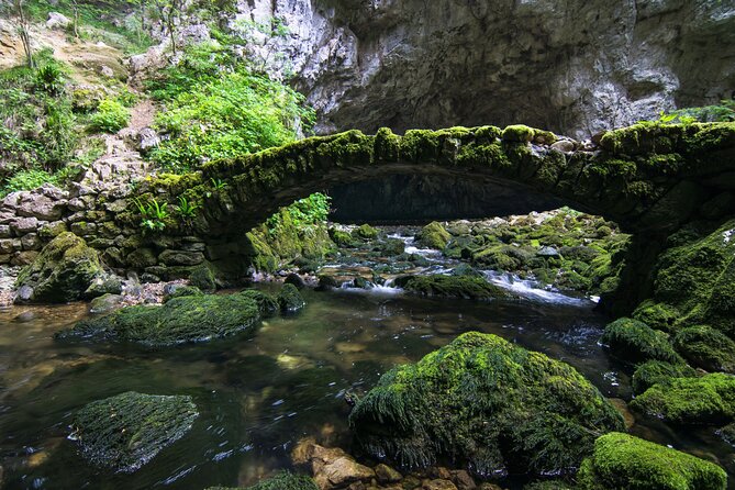 Private Postojna Cave & Predjama Castle Tour from Ljubljana - What $219.51 buys you