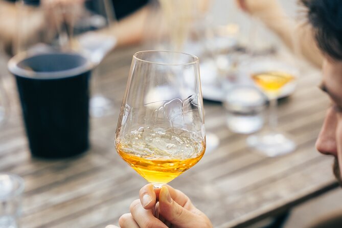 Private Wine Tasting Experience in Ljubljana - Why This Ljubljana Wine Tasting Is Worth Your Evening