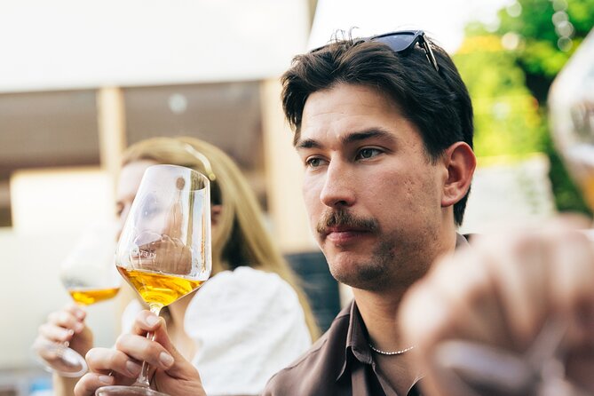 Private Wine Tasting Experience in Ljubljana - What You Actually Taste and Learn