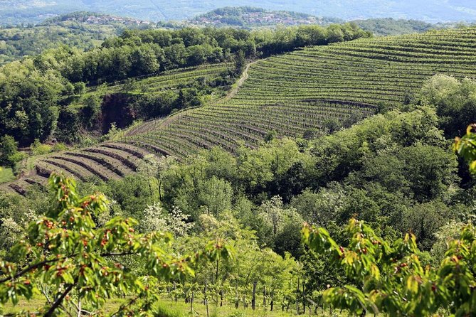 Secret vineyards E-bike tour - Is $360.03 per person good value?