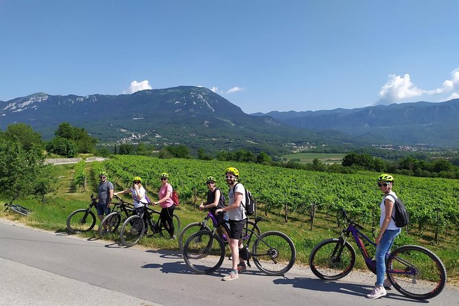 Secret vineyards E-bike tour - Should you book the Secret Vineyards E-bike Tour?
