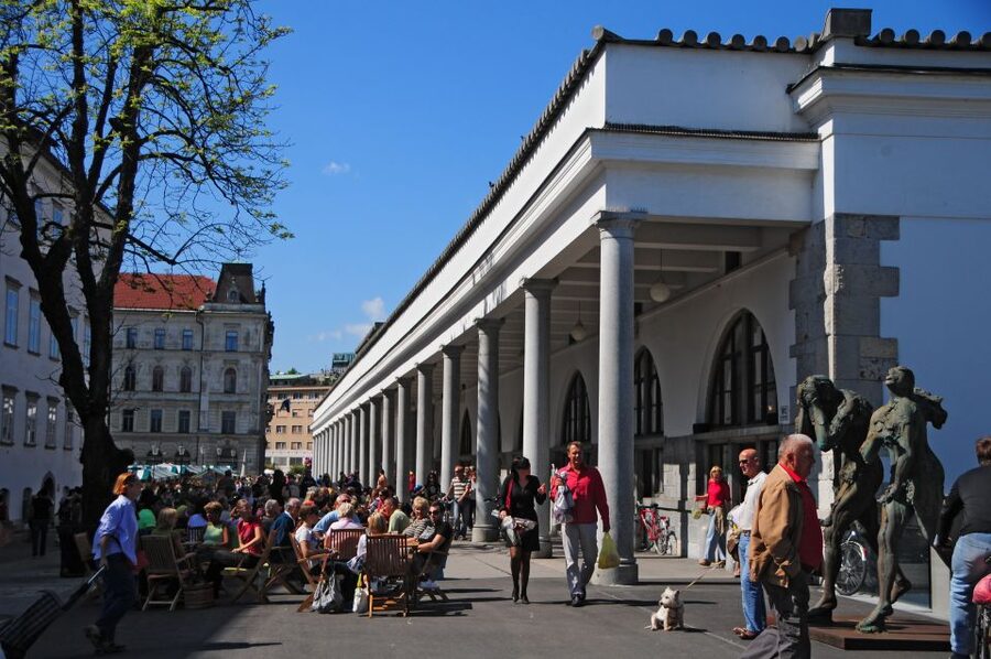 Small Group (Max 6): Ljubljana Hidden Gems Tour from Koper - Meeting your guide beside the orange beach flag