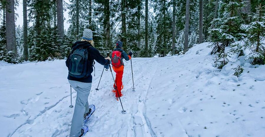 Snowshoeing in Triglav National Park - Getting used to snowshoes and poles